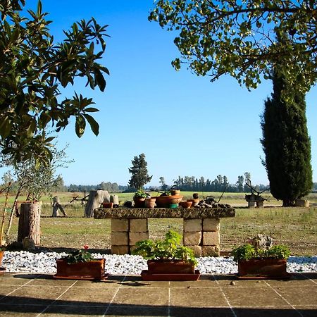 Villa Maison Catalano à Castellaneta Marina Extérieur photo