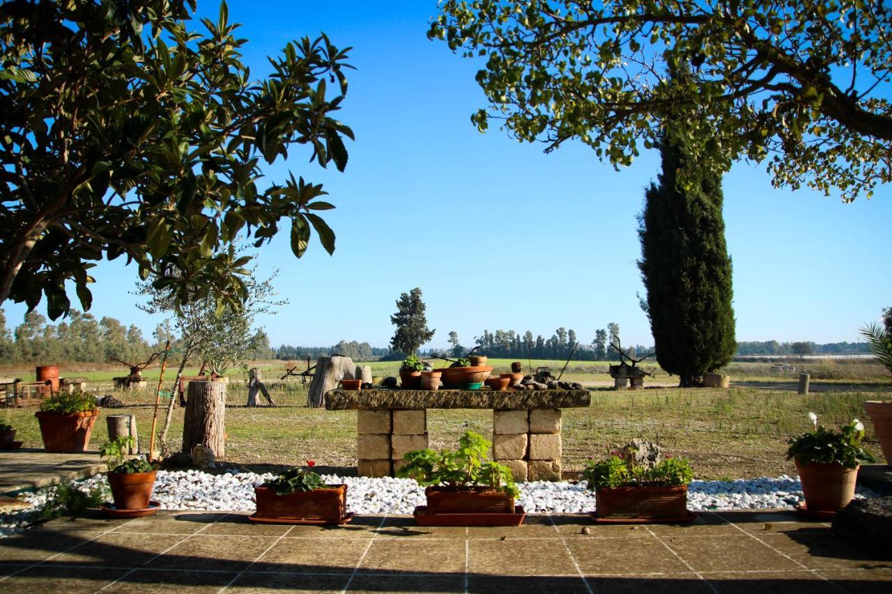Villa Maison Catalano à Castellaneta Marina Extérieur photo